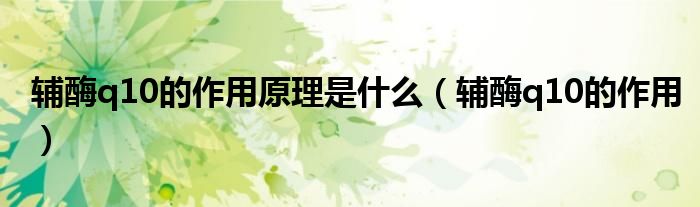 辅酶q10的作用原理是什么(辅酶q10的作用)