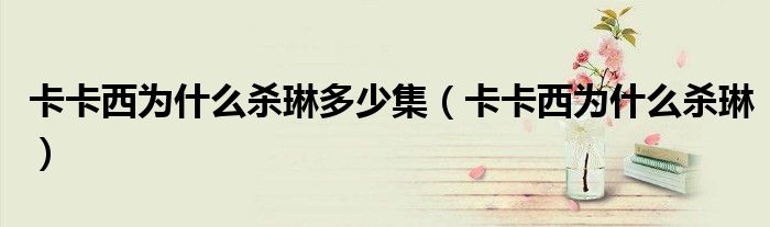 卡卡西为什么杀琳多少集(卡卡西为什么杀琳)