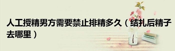 人工授精男方需要禁止排精多久(结扎后精子去哪里)
