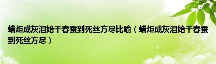 蜡炬成灰泪始干春蚕到死丝方尽比喻(蜡炬成灰泪始干春蚕到死丝方尽)