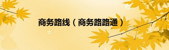 商务路线（商务路路通）