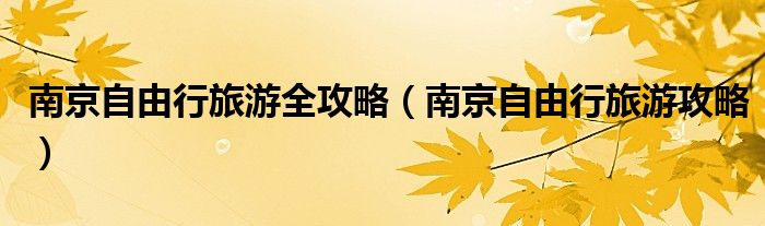 南京自由行旅游全攻略(南京自由行旅游攻略)