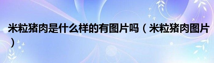 米粒猪肉是什么样的有图片吗(米粒猪肉图片)