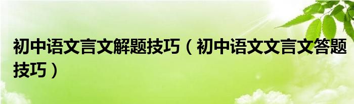 初中语文言文解题技巧(初中语文文言文答题技巧)