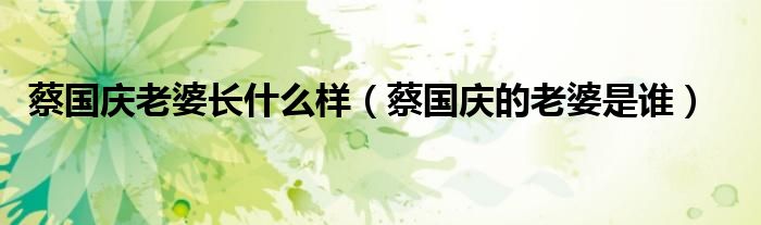 蔡国庆老婆长什么样(蔡国庆的老婆是谁)