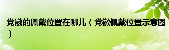 党徽的佩戴位置在哪儿(党徽佩戴位置示意图)