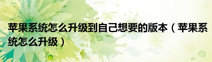 苹果系统怎么升级到自己想要的版本(苹果系统怎么升级)