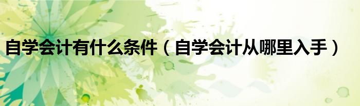 自学会计有什么条件(自学会计从哪里入手)