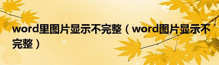 word里图片显示不完整(word图片显示不完整)