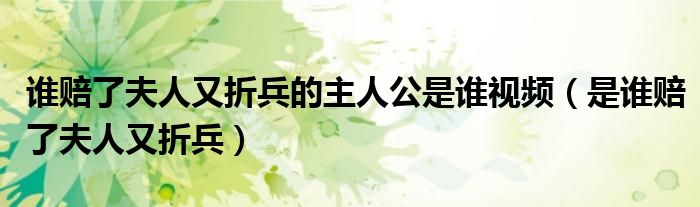 谁赔了夫人又折兵的主人公是谁视频(是谁赔了夫人又折兵)