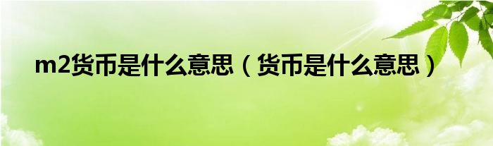 m2货币是什么意思(货币是什么意思)