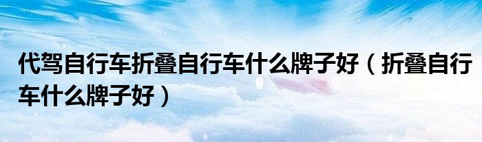代驾自行车折叠自行车什么牌子好(折叠自行车什么牌子好)