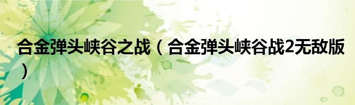 合金弹头峡谷之战(合金弹头峡谷战2无敌版)