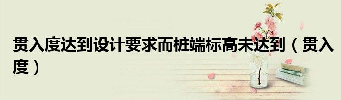 贯入度达到设计要求而桩端标高未达到(贯入度)