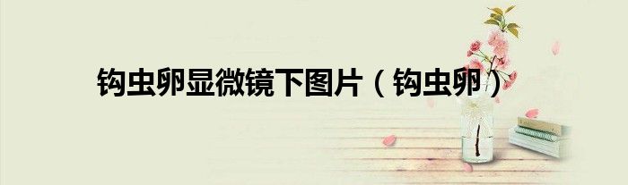 钩虫卵显微镜下图片(钩虫卵)