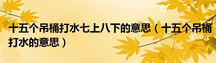 十五个吊桶打水七上八下的意思(十五个吊桶打水的意思)