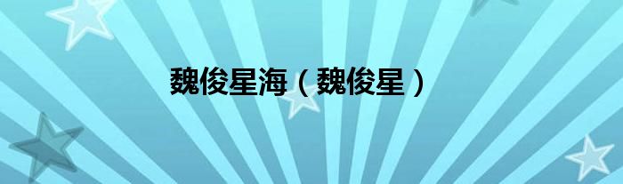 魏俊星海（魏俊星）