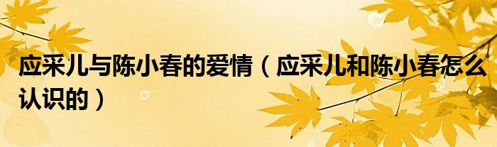 应采儿与陈小春的爱情(应采儿和陈小春怎么认识的)