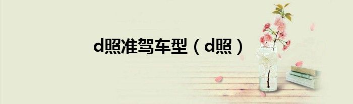 d照准驾车型（d照）