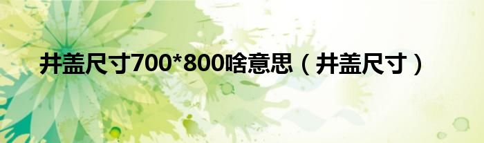 井盖尺寸700*800啥意思(井盖尺寸)