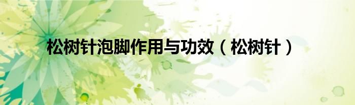 松树针泡脚作用与功效(松树针)