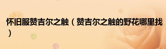 怀旧服赞吉尔之触(赞吉尔之触的野花哪里找)
