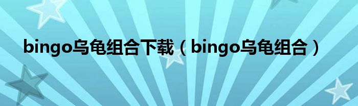 bingo乌龟组合下载(bingo乌龟组合)