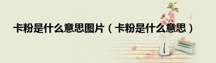 卡粉是什么意思图片(卡粉是什么意思)