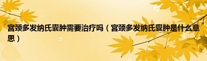 宫颈多发纳氏囊肿需要治疗吗(宫颈多发纳氏囊肿是什么意思)