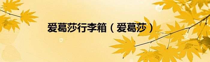 爱葛莎行李箱(爱葛莎)