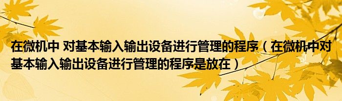 在微机中 对基本输入输出设备进行管理的程序(在微机中对基本输入输出设备进行管理的程序是放在)