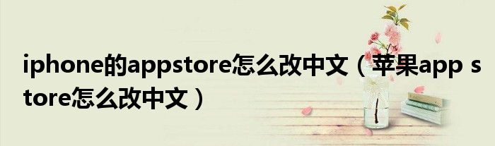 iphone的appstore怎么改中文(苹果app store怎么改中文)