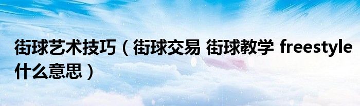 街球艺术技巧(街球交易 街球教学 freestyle什么意思)