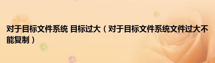 对于目标文件系统 目标过大(对于目标文件系统文件过大不能复制)