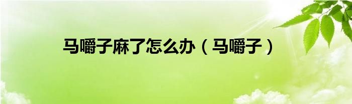马嚼子麻了怎么办(马嚼子)