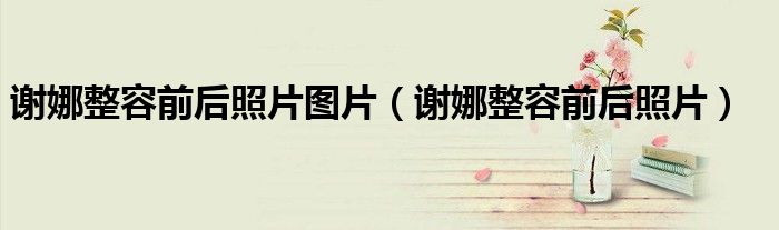谢娜整容前后照片图片(谢娜整容前后照片)
