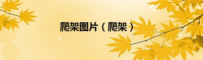 爬架图片（爬架）