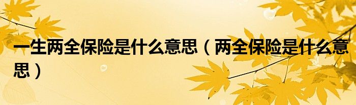 一生两全保险是什么意思(两全保险是什么意思)