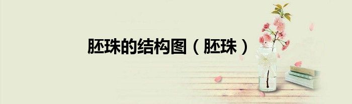 胚珠的结构图(胚珠)