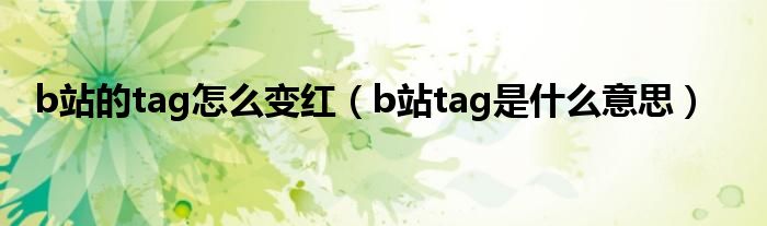 b站的tag怎么变红(b站tag是什么意思)