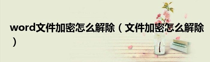 word文件加密怎么解除(文件加密怎么解除)