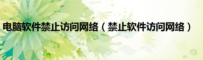 电脑软件禁止访问网络(禁止软件访问网络)