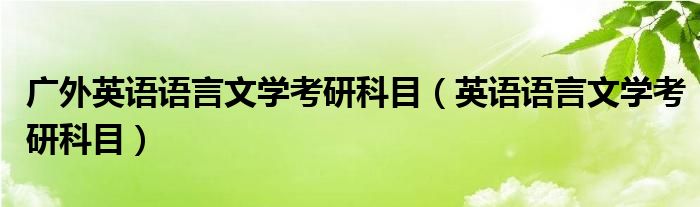 广外英语语言文学考研科目(英语语言文学考研科目)