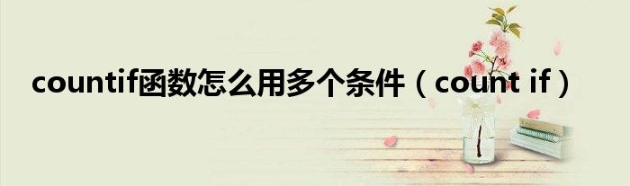 countif函数怎么用多个条件(count if)