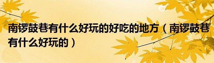 南锣鼓巷有什么好玩的好吃的地方(南锣鼓巷有什么好玩的)