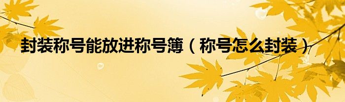 封装称号能放进称号簿(称号怎么封装)