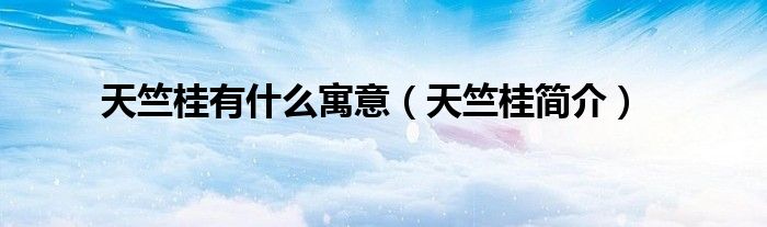 天竺桂有什么寓意(天竺桂简介)
