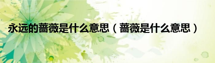 永远的蔷薇是什么意思(蔷薇是什么意思)