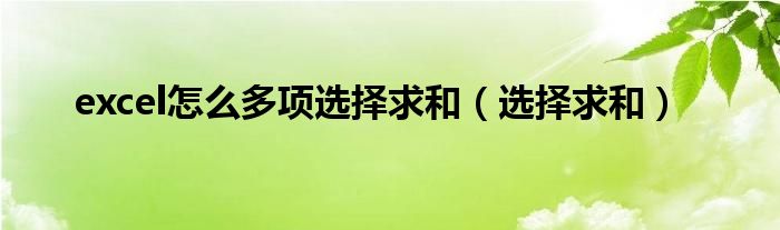 excel怎么多项选择求和(选择求和)
