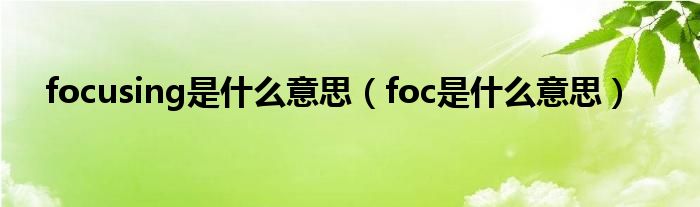 focusing是什么意思(foc是什么意思)